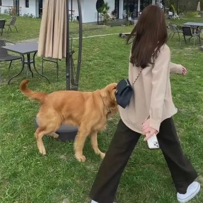 交响诗篇:彩虹满载
